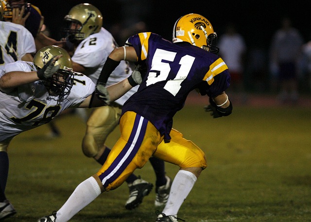 有鉴于以上 有鉴于以上