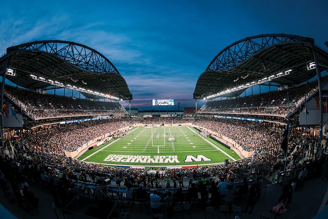 因为他需要 因为他需要