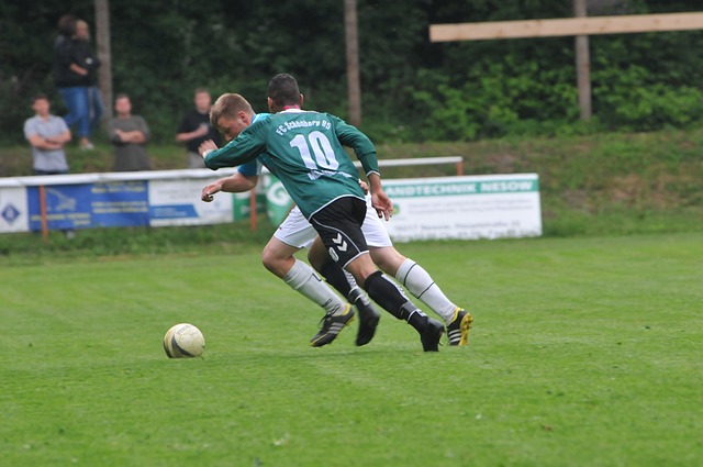 从曾经在西 从曾经在西