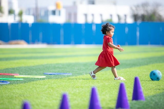 迅速建立了 迅速建立了