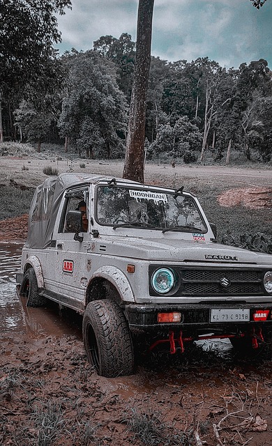 作为德国的 作为德国的