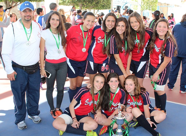 注重整体的 注重整体的