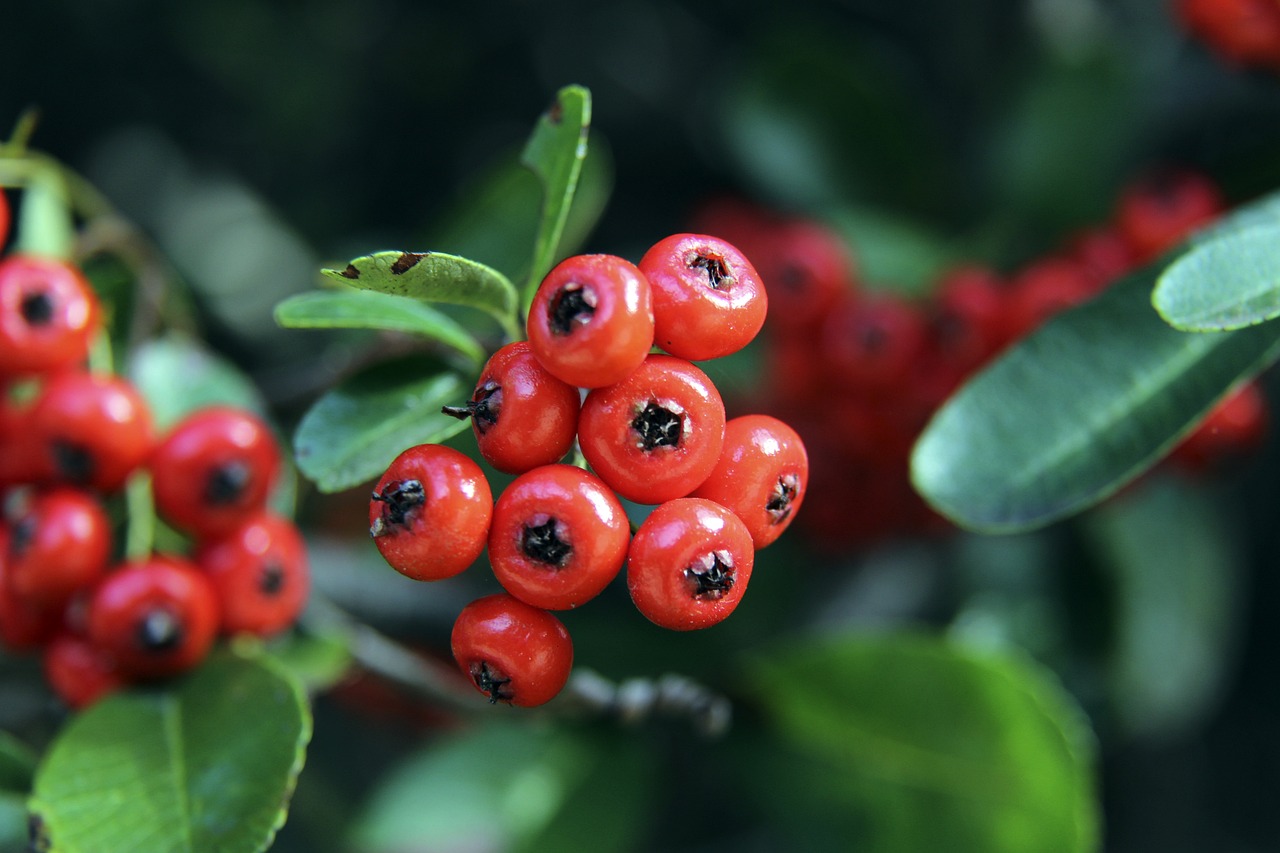 意义非凡 意义非凡