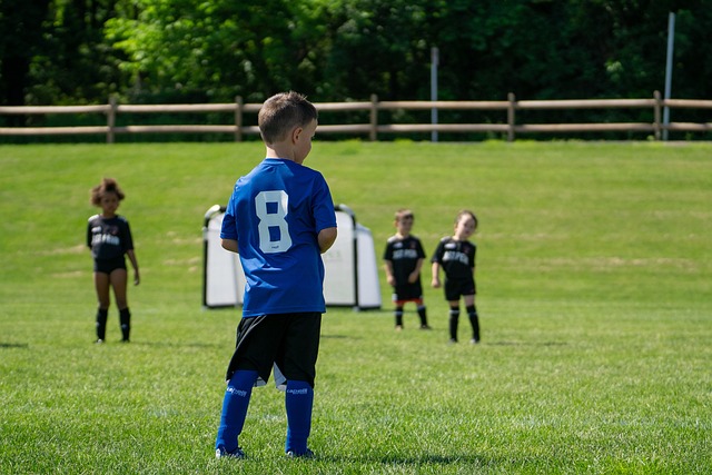 赛场聚焦 赛场聚焦