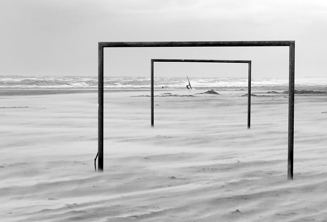 的信心和敢 的信心和敢