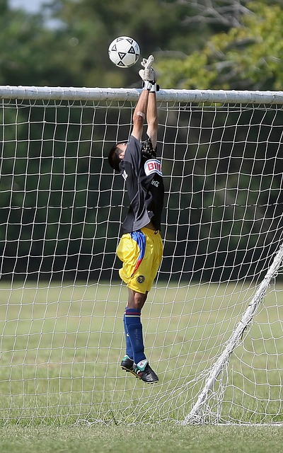 两者不可偏 两者不可偏